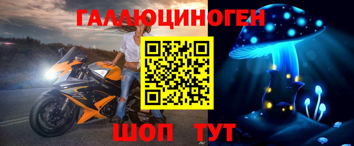 Галлюциногенные грибы Psilocybe Грозный