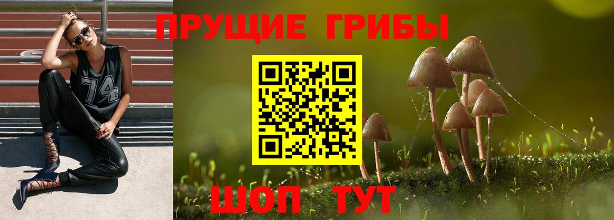 Грозный  закладка  Вход с VPN  Галлюциногенные грибы GOLDEN TEACHER 