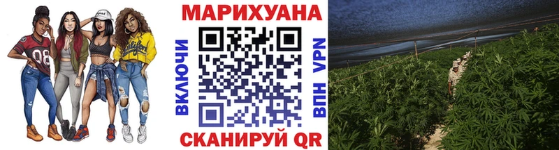 Конопля семена  Грозный 